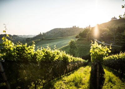 Ausblick von der Winzarei