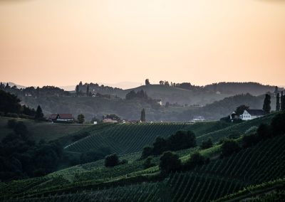 Ausblick von der Winzarei